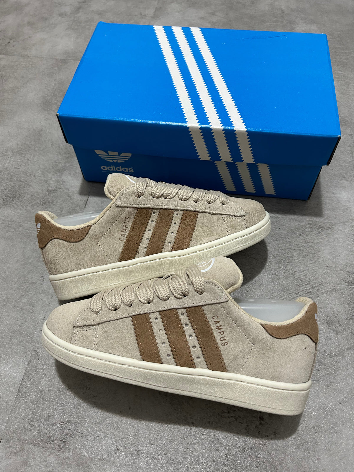 Adidas Campus - Bege e marrom